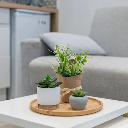 Le Cocon Nicois Apartment