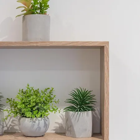 Apartamento Le Cocon Nicois Niza